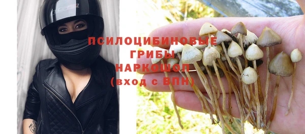 бошки Верея