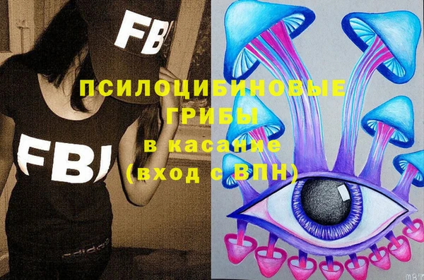 бошки Верея