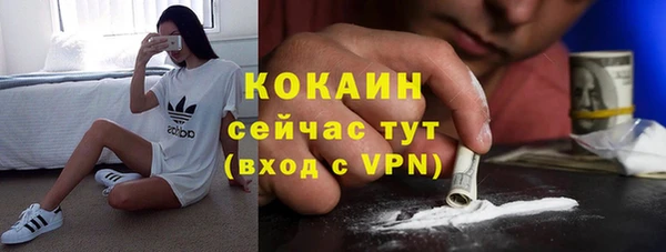 бошки Верея